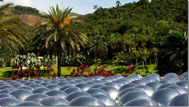 yayoi-kusama-narcissus-garden-inhotim
