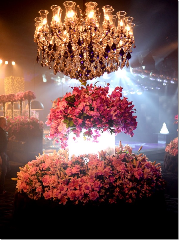 ZoomVIP-Estela-10061